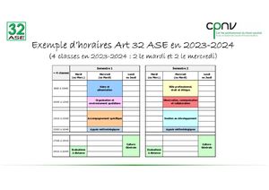 thumbnail of Organisation des cours Art32 ASE CPNV en 2023-2024